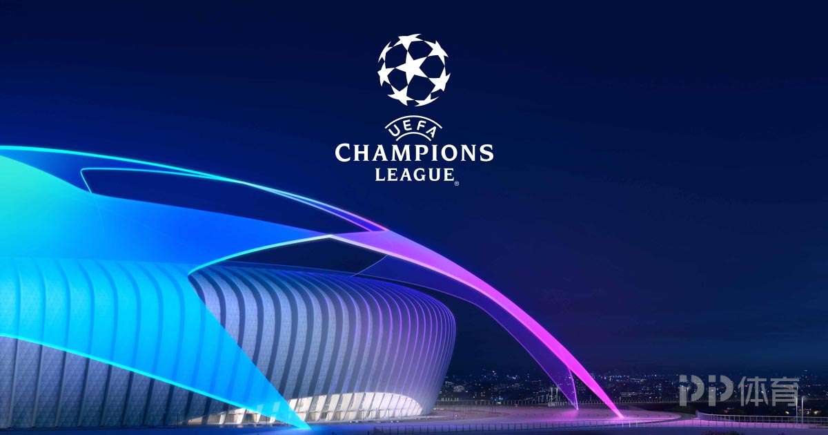 他们提供的 他们提供的